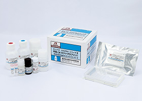 Beta-lactoglobulin ELISA KitⅡ
