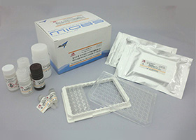 Mouse C-peptide ELISA Kit